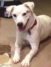 Kerry â¥-ADOPTED 05.29.13