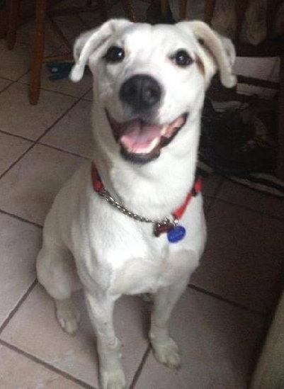 Kerry â¥-ADOPTED 05.29.13
