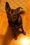 Bixby-ADOPTED-6.30.13