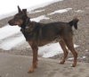 Bixby-ADOPTED-6.30.13
