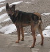 Bixby-ADOPTED-6.30.13