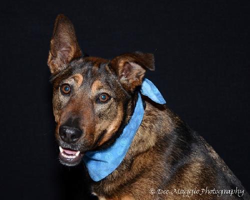 Bixby-ADOPTED-6.30.13