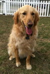 Mr. Max-ADOPTED 04.13.13