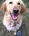 Mr. Max-ADOPTED 04.13.13
