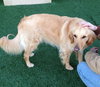 Mr. Max-ADOPTED 04.13.13