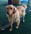 Mr. Max-ADOPTED 04.13.13