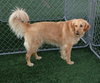 Mr. Max-ADOPTED 04.13.13