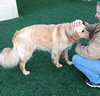 Mr. Max-ADOPTED 04.13.13