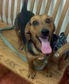Blade-ADOPTED 06.16.13