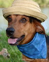 Blade-ADOPTED 06.16.13