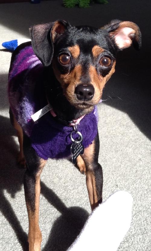 Nora-ADOPTED 04.27.13