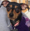Nora-ADOPTED 04.27.13
