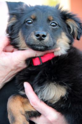 Pippi Longstockings - ADOPTED 05.24.13