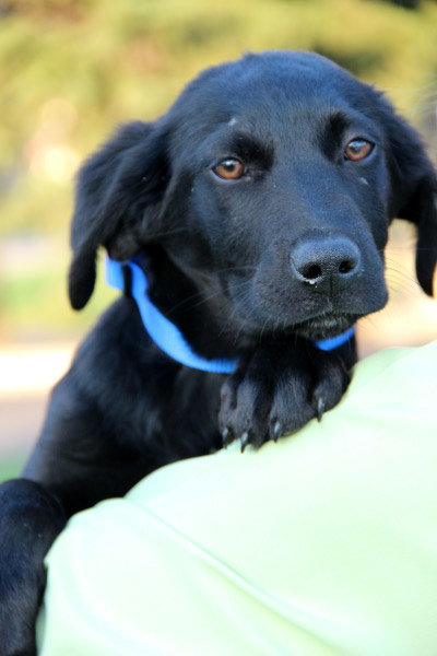 Ph Litter Oreo - ADOPTED 05.30.13