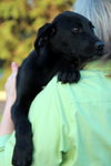 Ph Litter Griffin - ADOPTED 06.04.13