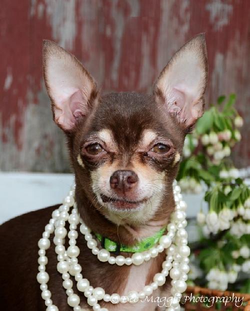 Angel-ADOPTED 06.29.13