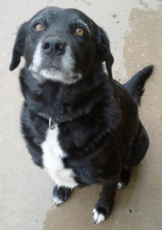 Mary Ann-ADOPTED 06.08.13
