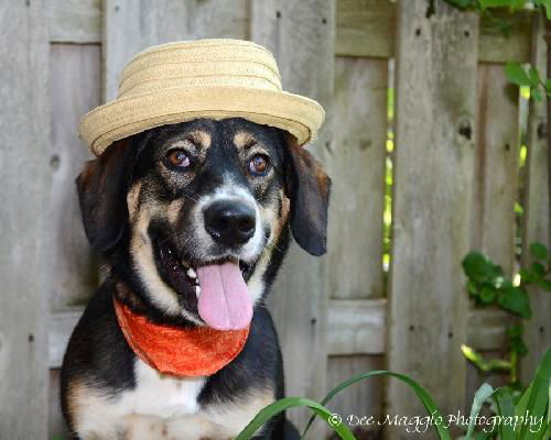 Barclay-ADOPTED 05.23.13