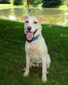 Wrangler-ADOPTED 09.14.13
