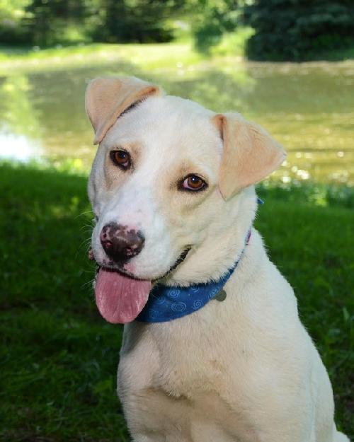 Wrangler-ADOPTED 09.14.13