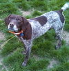 Doc-ADOPTED 06.28.13