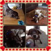 Doc-ADOPTED 06.28.13