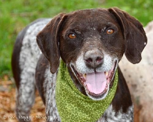 Doc-ADOPTED 06.28.13