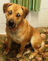 Tony Sbark-ADOPTED 09.15.13