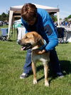 Tony Sbark-ADOPTED 09.15.13