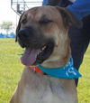Tony Sbark-ADOPTED 09.15.13
