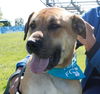 Tony Sbark-ADOPTED 09.15.13