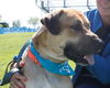 Tony Sbark-ADOPTED 09.15.13