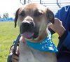 Tony Sbark-ADOPTED 09.15.13