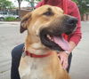 Tony Sbark-ADOPTED 09.15.13