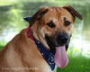Tony Sbark-ADOPTED 09.15.13
