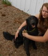Kenny - ADOPTED (Missing Contract)