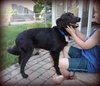 Kenny - ADOPTED (Missing Contract)