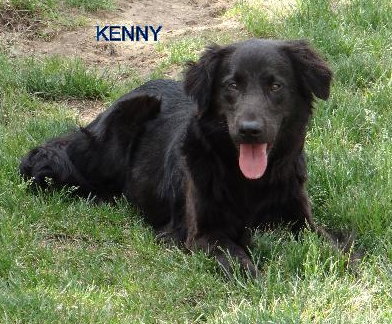 Kenny - ADOPTED (Missing Contract)