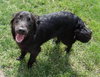 Kenny - ADOPTED (Missing Contract)