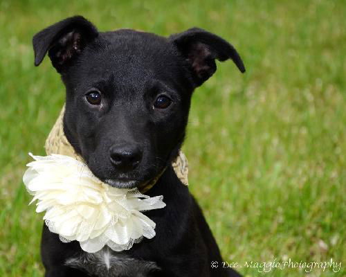 Baby Girl - ADOPTED 06.10.13