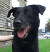 Ivana-ADOPTED 09.27.13