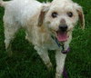 Doodle-ADOPTED 09.03.13