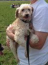 Doodle-ADOPTED 09.03.13