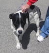 Mason-ADOPTED 07.31.13