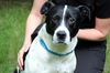 Mason-ADOPTED 07.31.13