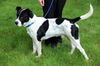 Mason-ADOPTED 07.31.13