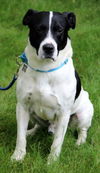 Mason-ADOPTED 07.31.13