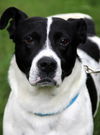 Mason-ADOPTED 07.31.13