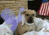 Bi Litter Rocki - ADOPTED 07.11.13