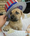 Bi Litte Santo - ADOPTED 07.13.13